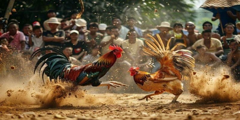 Tham gia trải nghiệm mỗi ngày có cơ hội săn thưởng với giá trị cực kỳ lớn.