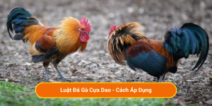 Luật Đá Gà Cựa Dao - Cách Áp Dụng