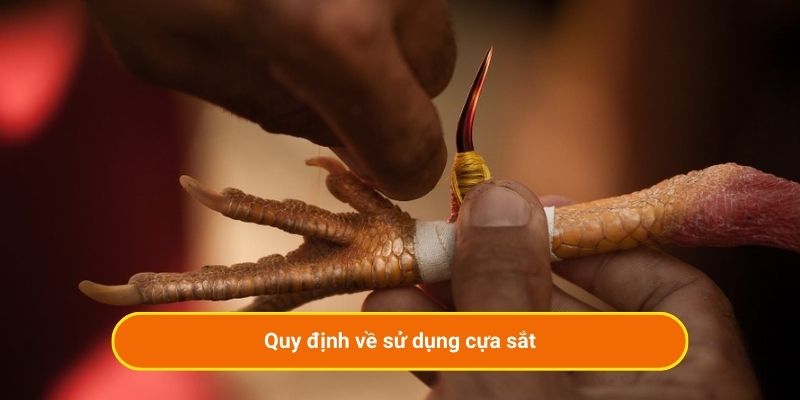 Quy định về sử dụng cựa sắt