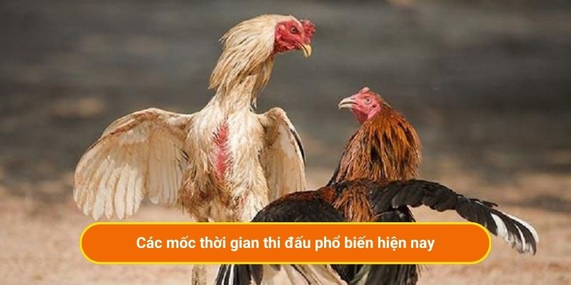 Các mốc thời gian thi đấu phổ biến hiện nay