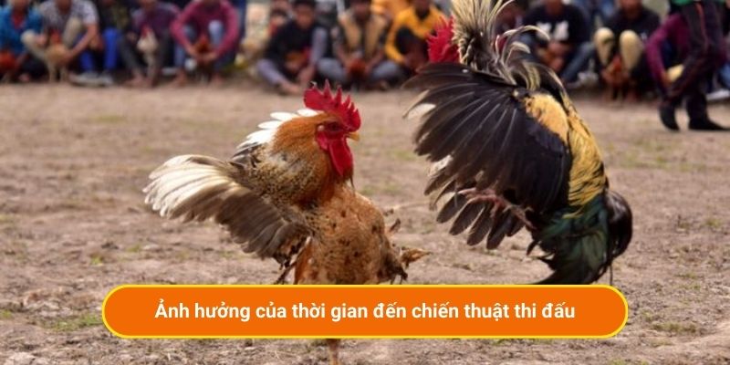 Ảnh hưởng của thời gian đến chiến thuật thi đấu