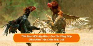 Thời Gian Mỗi Hiệp Đấu – Quy Tắc Vàng Giúp Điều Khiển Trận Chiến Hiệu Quả