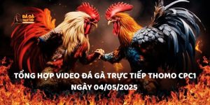 Tổng hợp video đá gà trực tiếp Thomo CPC1 ngày 04/05/2025